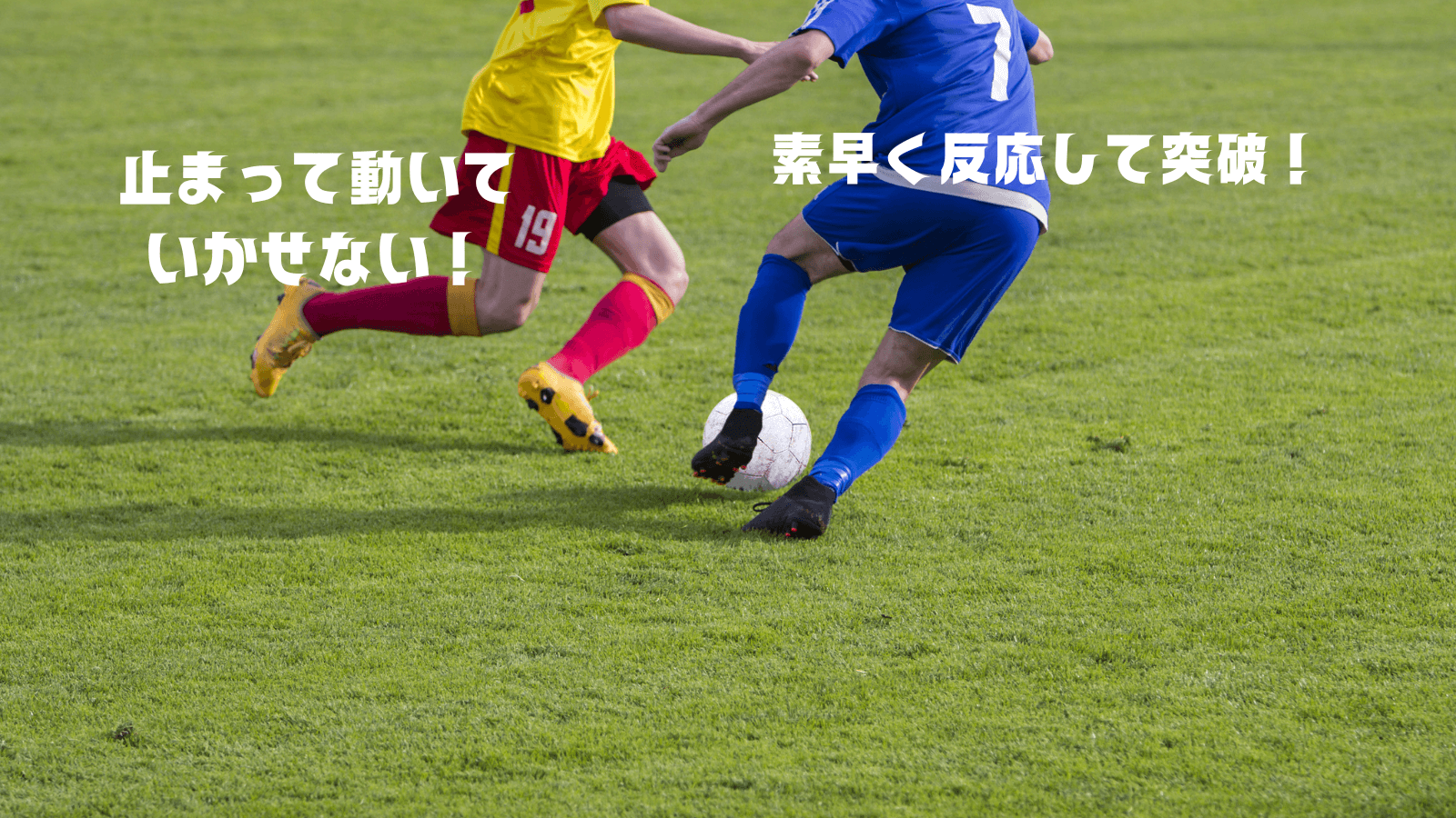 BMTスポーツの秋特別プログラムサッカー